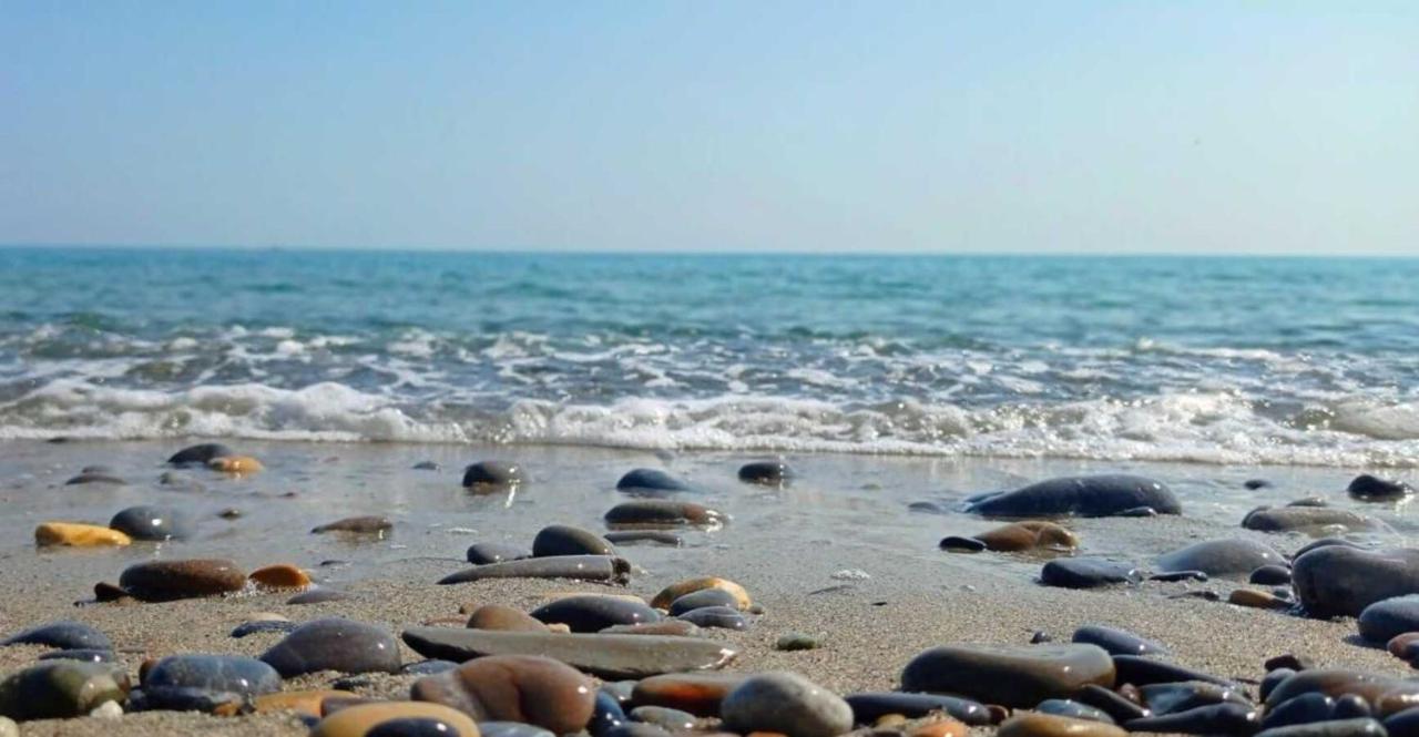 La Gaviota - Bilocale Sul Mare In Arziglia Bordighera